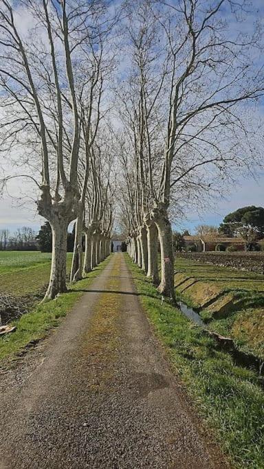 Hebergement - Canal Du Midi Saint-Martin-Lalande Exterior photo